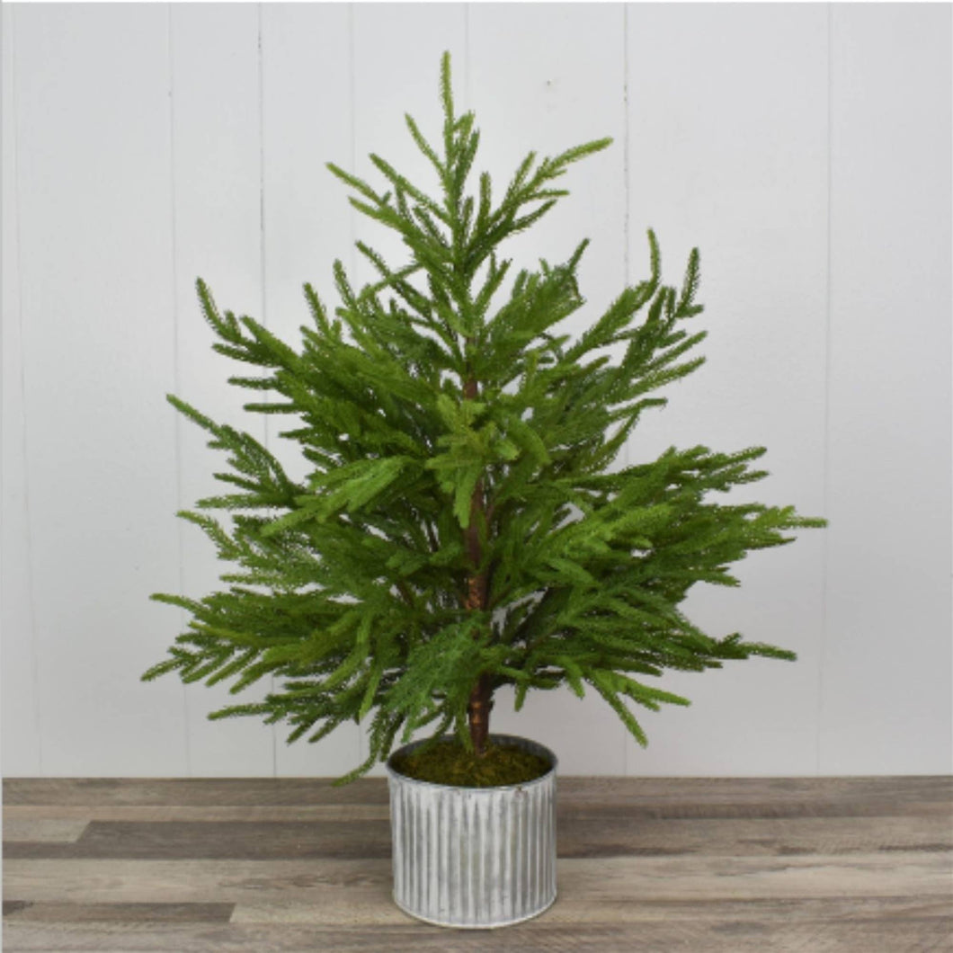 28” Norfolk Pine Tree In Galvanized Whitewash Container