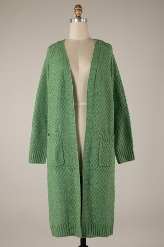 Beguiled Cardigan Sweater Green