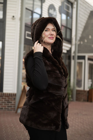 Cleo Hoody Vest Coffee O/S