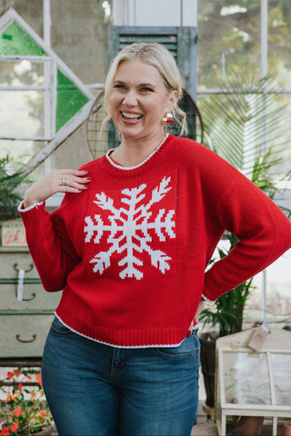 Cozy Snowflake Sweater RD