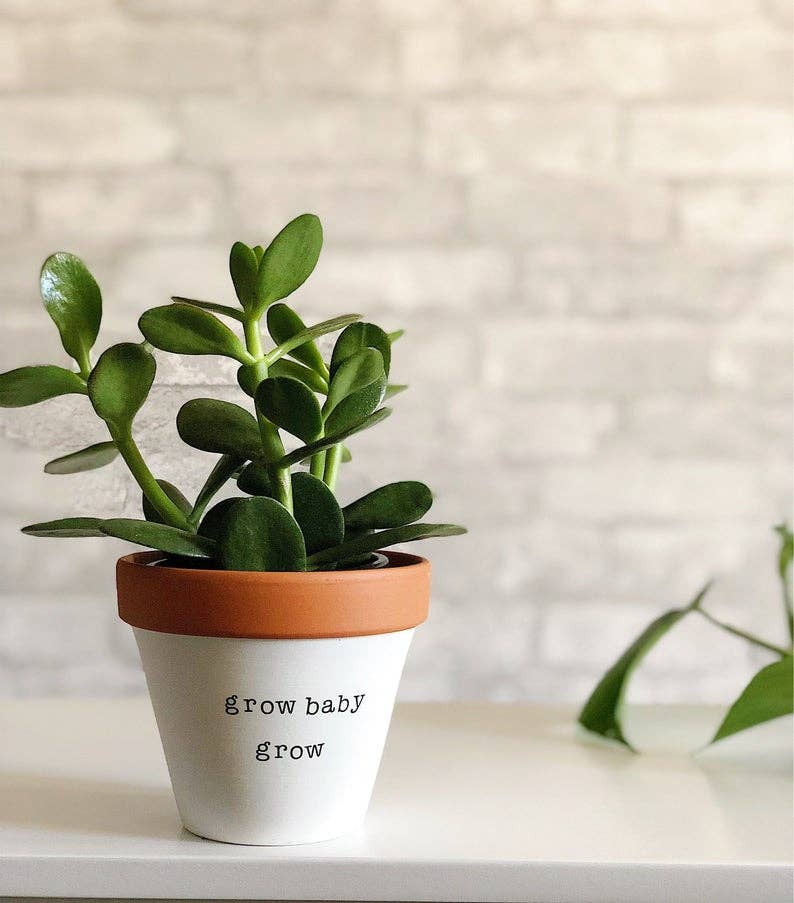 Grow Baby Grow Pot