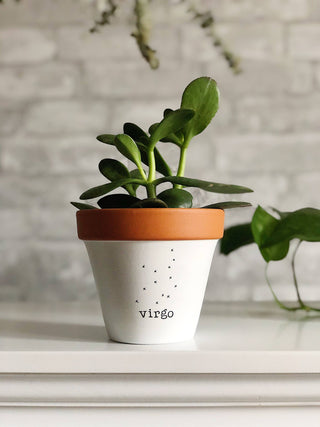 Virgo Pot