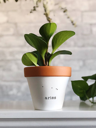 Aries Pot